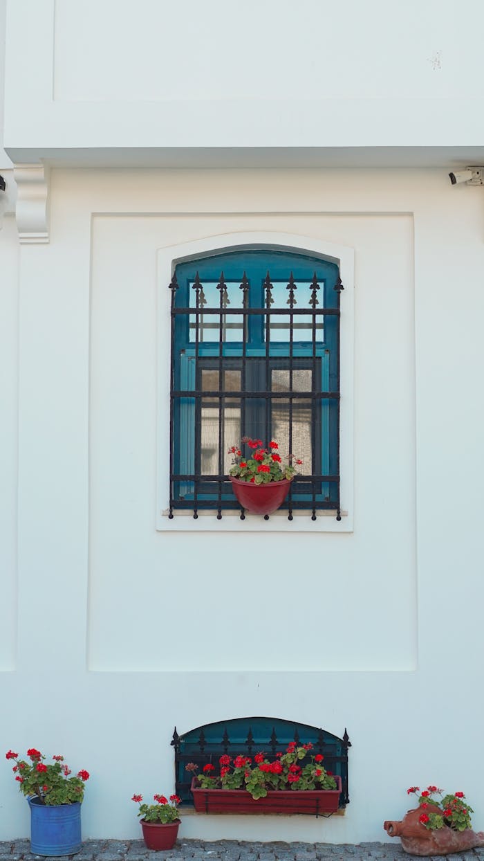 Home A blue window with iron bars, adorned with vibrant red geraniums, on a white facade.
