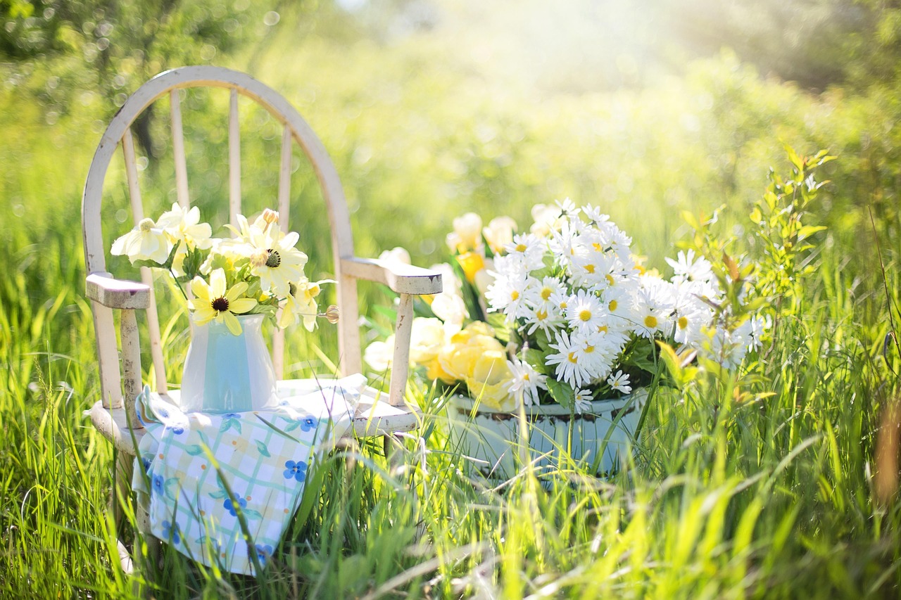 Home summer still-life, flower wallpaper, nature, beautiful flowers, daisies, flower background, yellow, garden, flowers